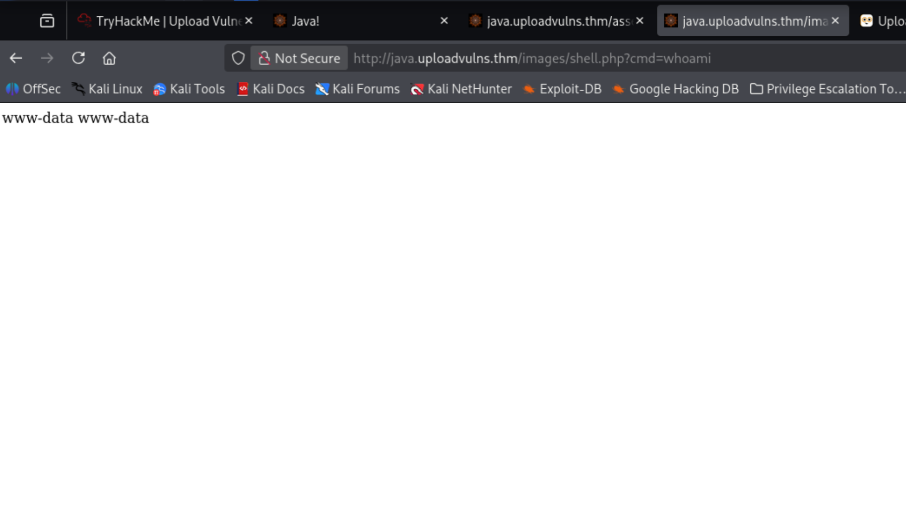 Webshell executing as www-data